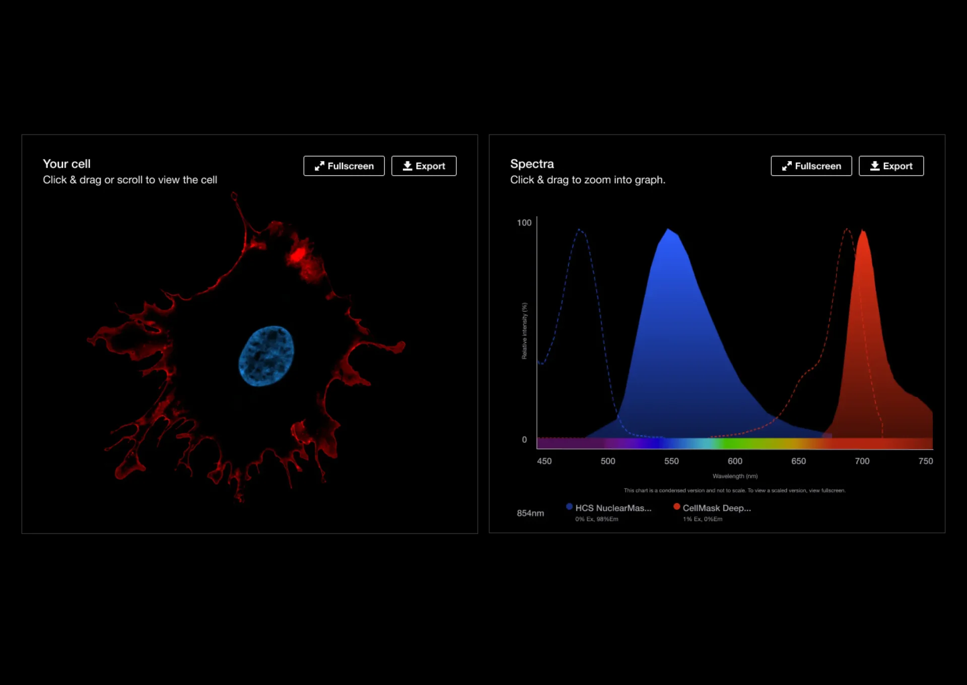 a computer screen showing a colourful cell and graph