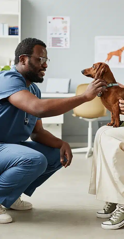 A veterinary crouched down to scratch a dog