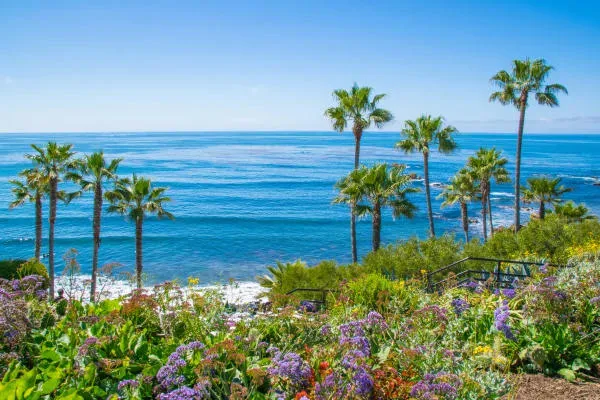 Scenic view of a blue ocean coast framed by tall palm trees and blooming purple flowers on a sunny day.
